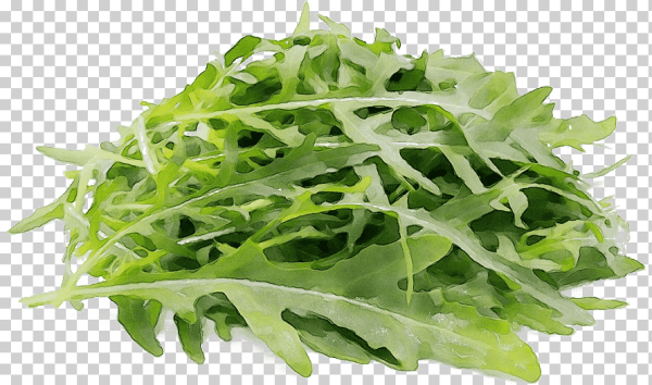 Руккола и Мизуна