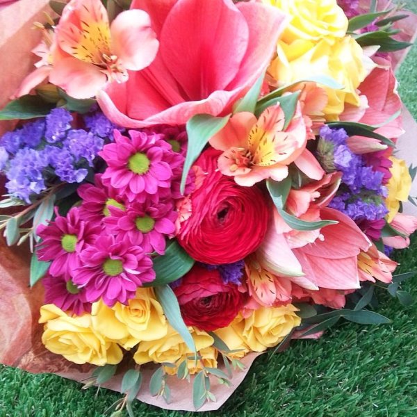 Роскошные цветы июля