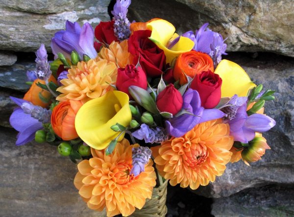 Шикарные цветы