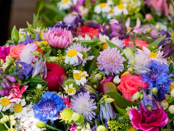 Красивый яркий букет цветов