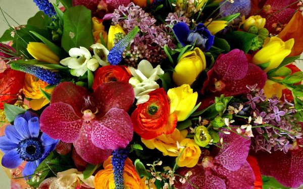 Большой букет разных цветов