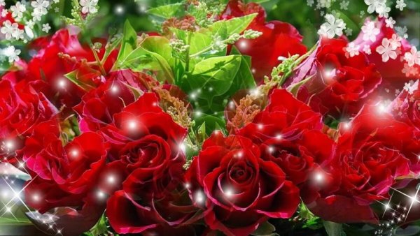 Цветы для Ирочки самые красивые