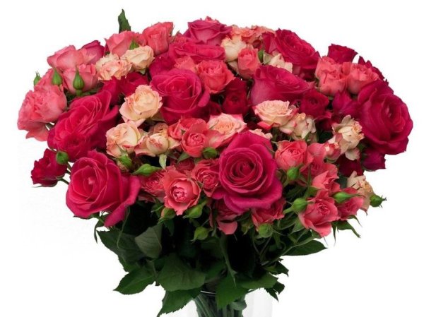 Цветы для Настеньки