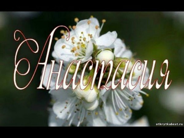 Цветы для Насти