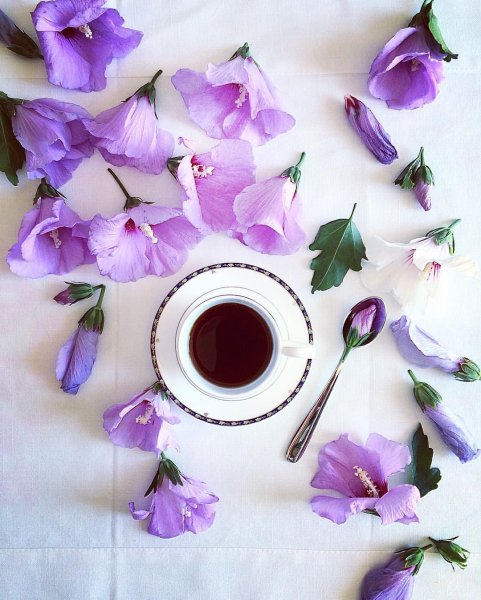 Утро в сиреневых тонах