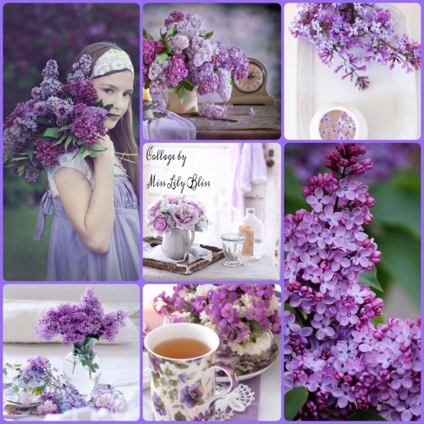 Доброе сиреневое утро