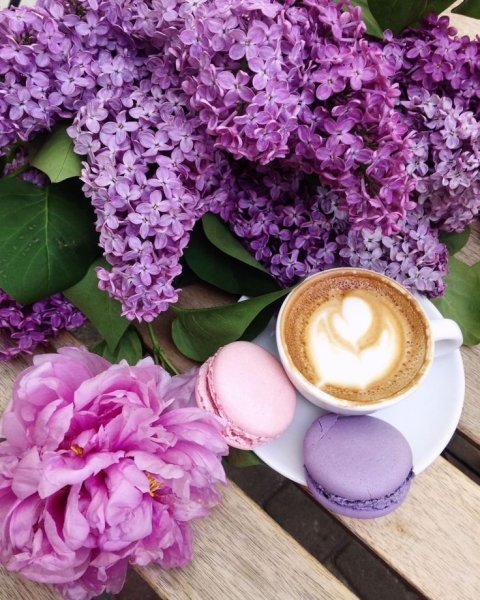 Доброе утро в сиреневом цвете