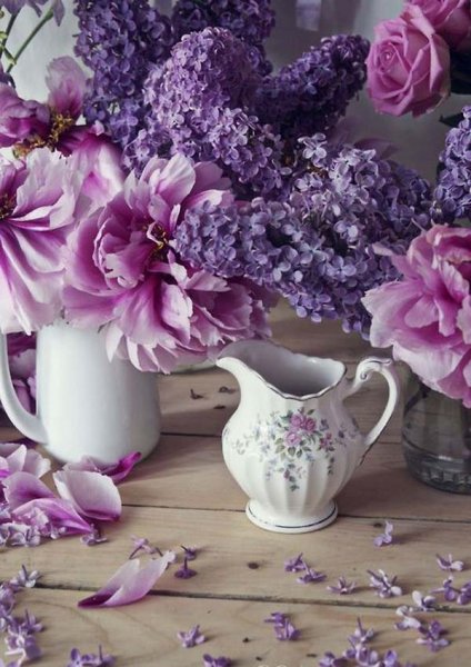 Сиреневые цветы