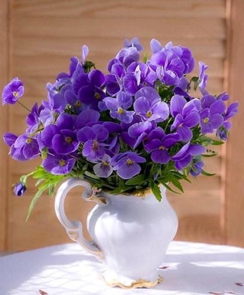 Доброе фиалковое утро