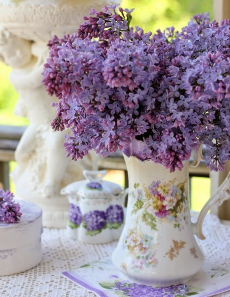 Цветы в сиреневых тонах