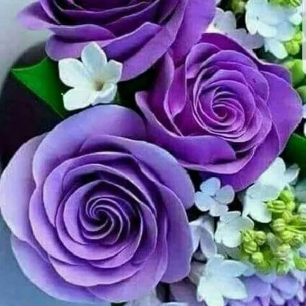 Доброе утро Ольга Ивановна