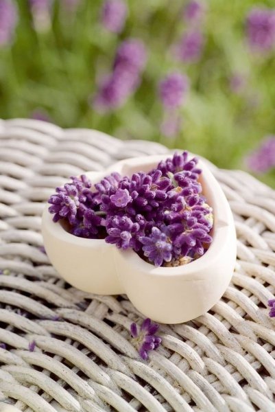 Фиолетовое настроение