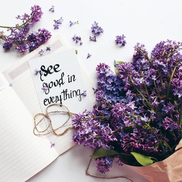 Сирень флэтлэй