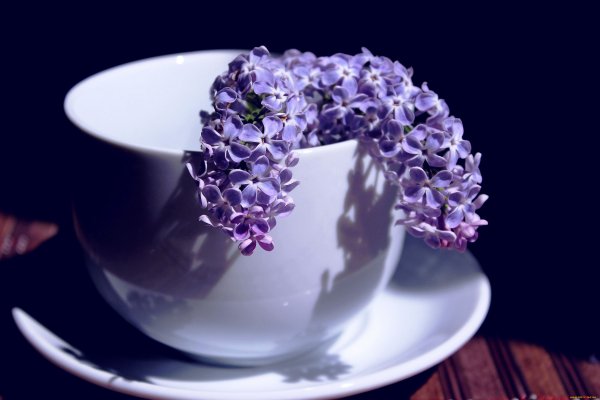 Доброе утро в сиреневых тонах