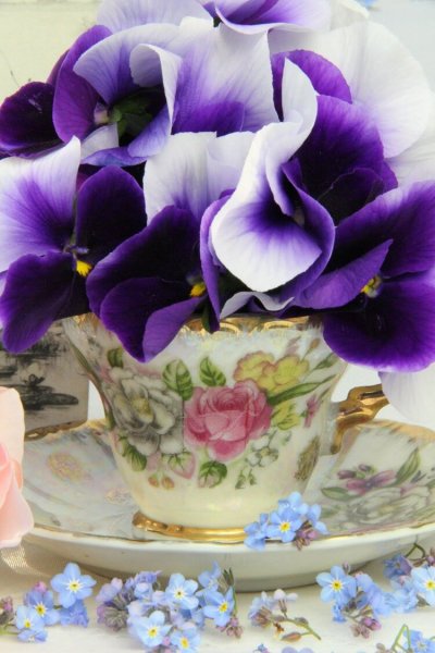 Утро в сиреневых тонах