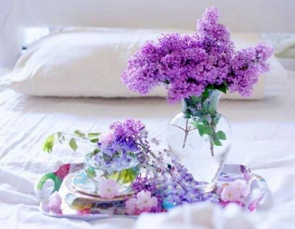 Доброе утро природа в сиреневых тонах