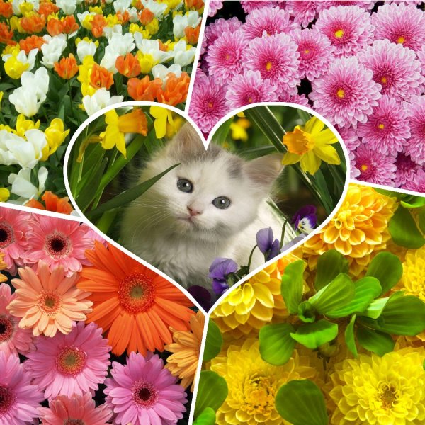 Коллаж красивый цветочный