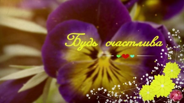 С днём рождения Анюта