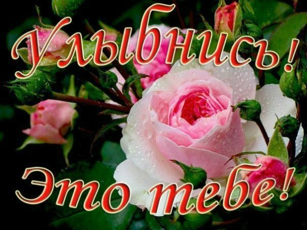 Цветы для Анечки