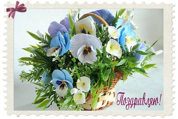 С днём рождения Анютины глазки