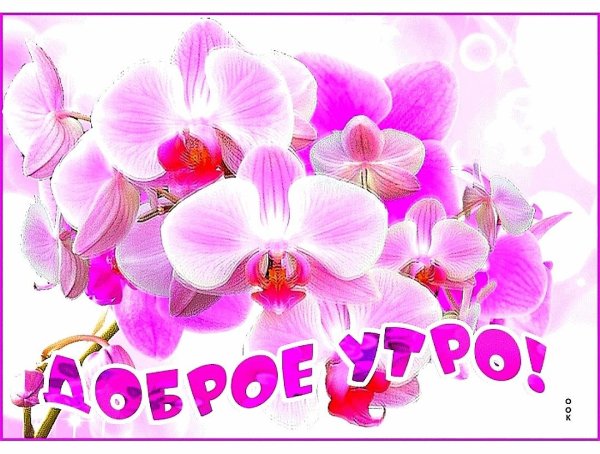 Анютины глазки Фаберже