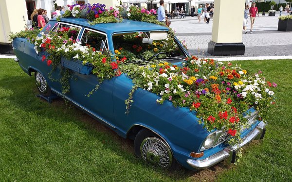 Клумба из старой машины