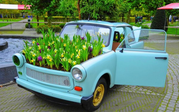 Клумба из автомобиля