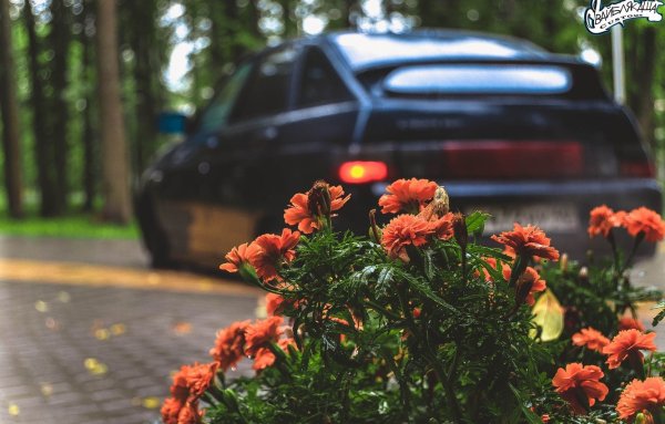 Оперские машины с цветами