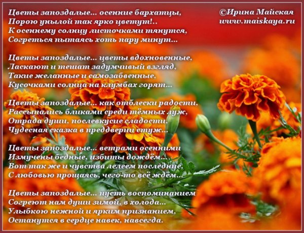 Стихи об осенних цветах