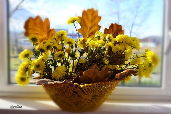 Поздний осенний букет
