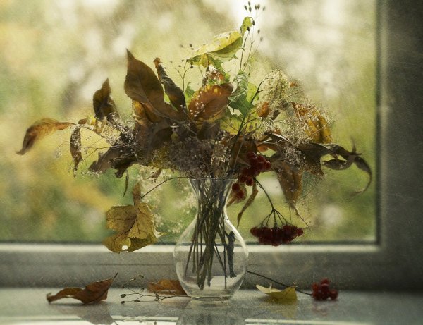 Увядший цветок на подоконнике