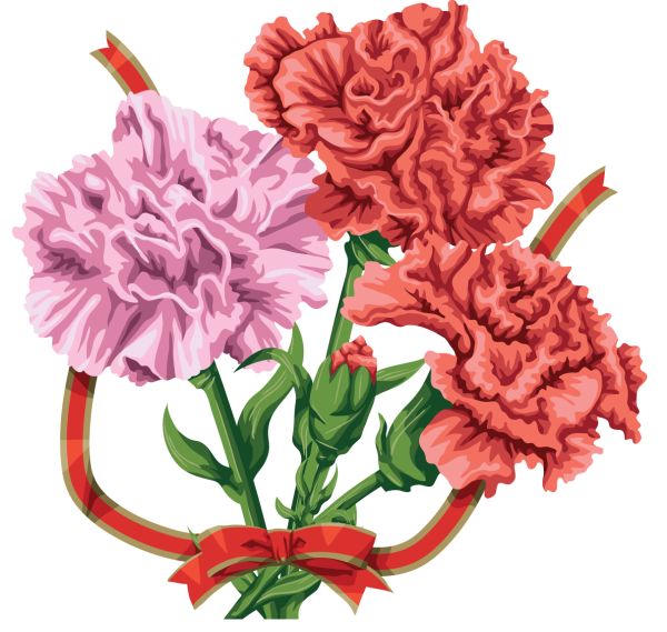 Георгиевская ленточка с гвоздикой вектор