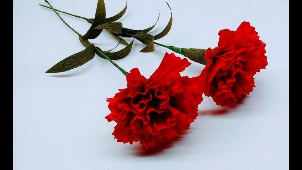 Красные гвоздики на бумаге