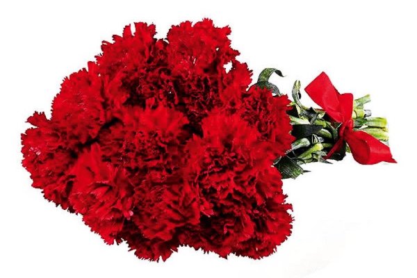 Гвоздика Грин трик