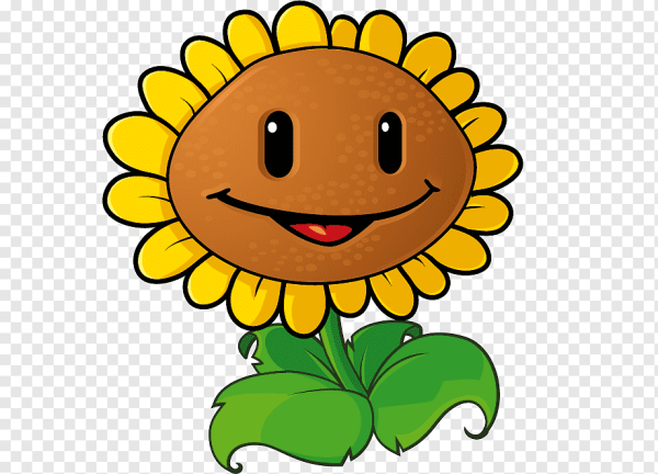 Цветочки с мордашками