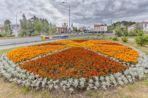 Редкие растения Югры