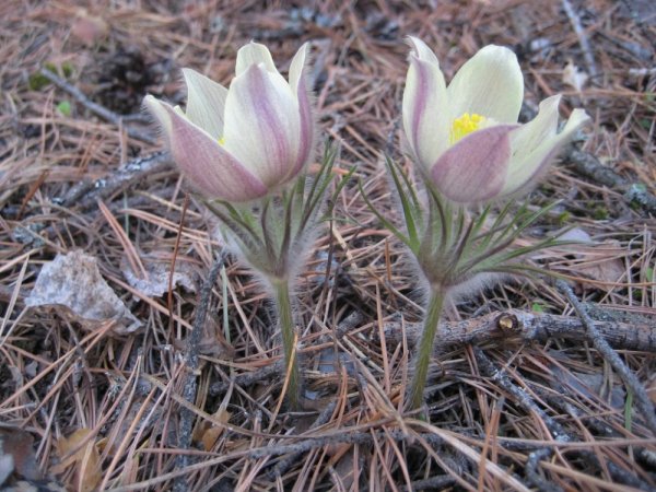 Заповедник Юганский в ХМАО-Югре