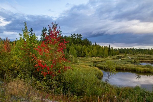 Парк Сибирские Увалы Нижневартовск
