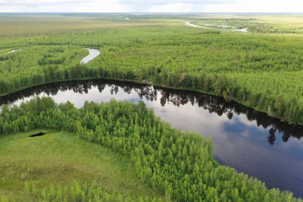 Ханты-Мансийский автономный округ Югра природа