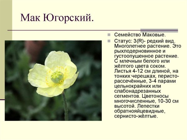 Флора заповедника малая Сосьва