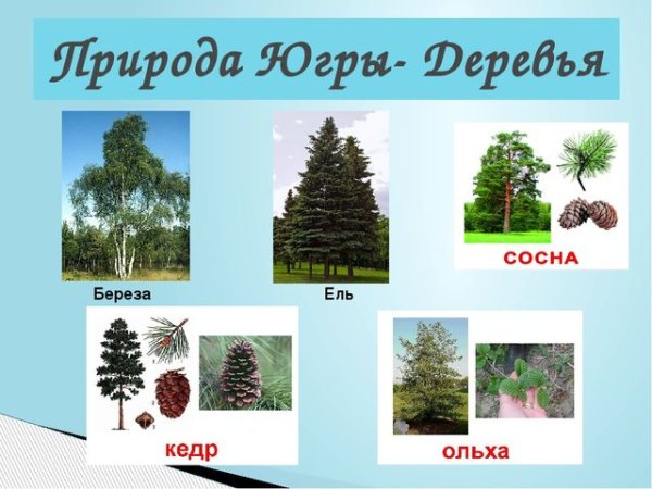 Голубое озеро Ханты-Мансийск