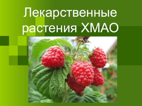 Ягоды тайги