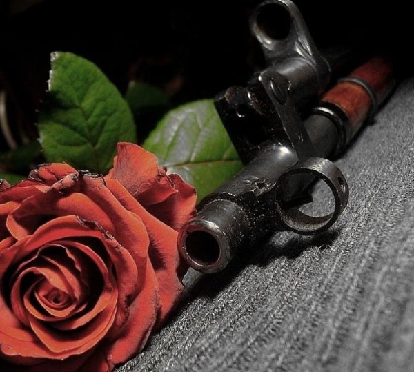 Пистолет и роза