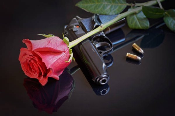 Оружие и розы