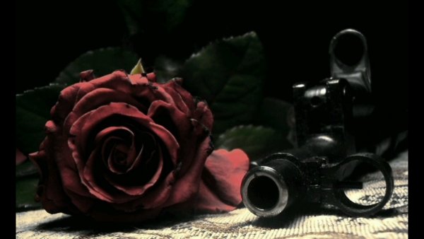 Цветы из оружия