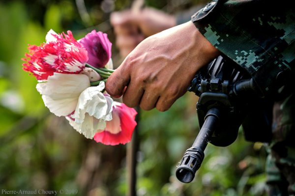 Оружие и цветы