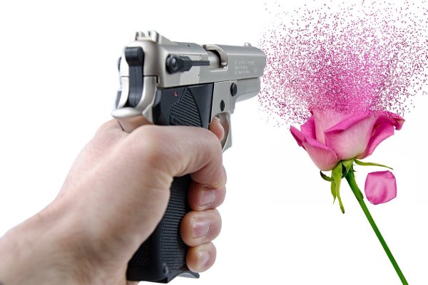 Цветок и нож