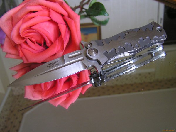 Оружие в живописи