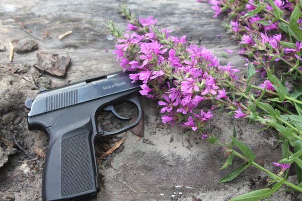 Пистолет и роза