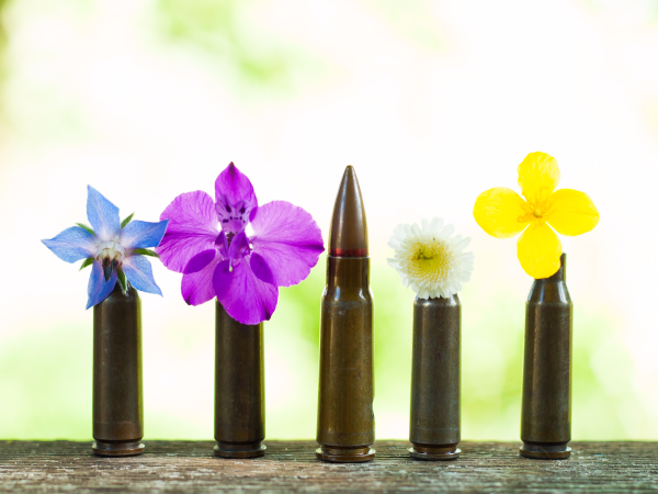 Пистолет из растений